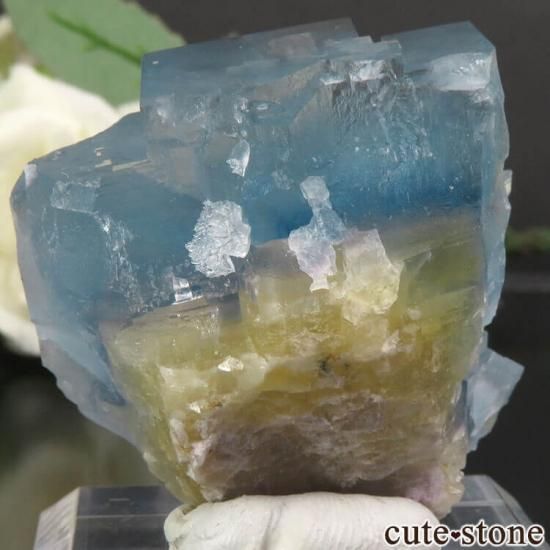 フランス La Barre Mine産 ブルー×イエローフローライトの結晶（原石