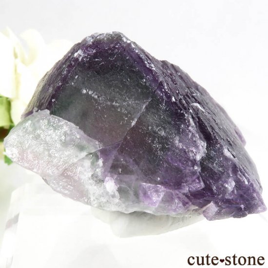  󥴥 Ի ѡץߥ꡼ե饤ȤȬη뾽ʸС 132gμ̿0 cute stone