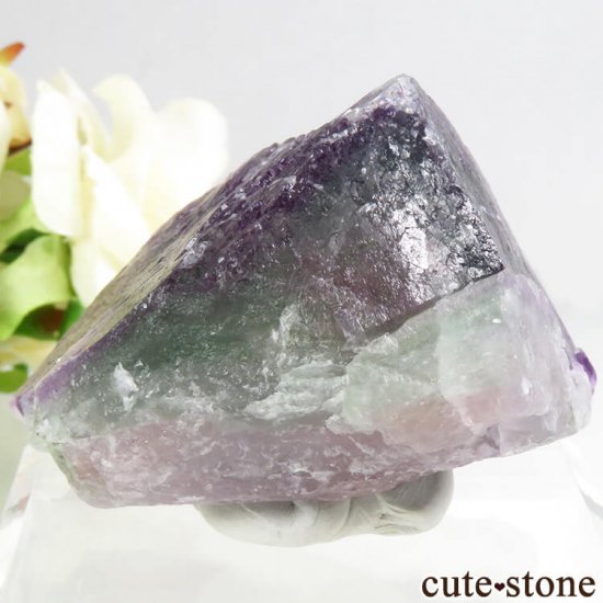  󥴥 Ի ѡץߥ꡼ե饤ȤȬη뾽ʸС 132gμ̿1 cute stone