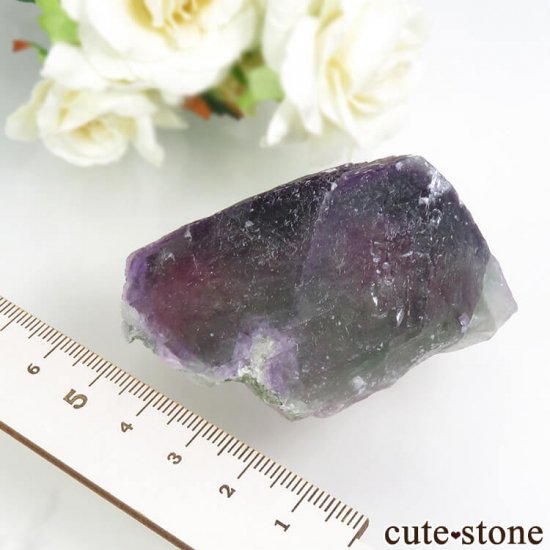  󥴥 Ի ѡץߥ꡼ե饤ȤȬη뾽ʸС 132gμ̿4 cute stone