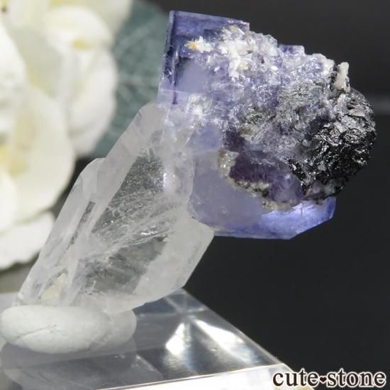 䥪󥷥 ֥롼ե饤ȡ 5.5gμ̿1 cute stone