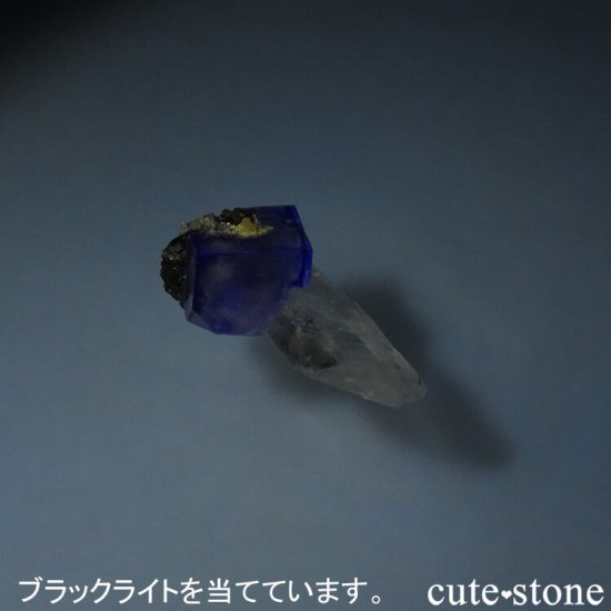 䥪󥷥 ֥롼ե饤ȡ 5.5gμ̿3 cute stone