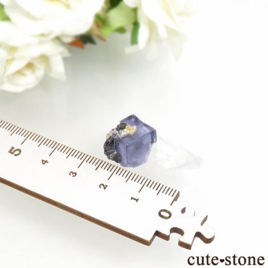 䥪󥷥 ֥롼ե饤ȡ 5.5gμ̿4 cute stone