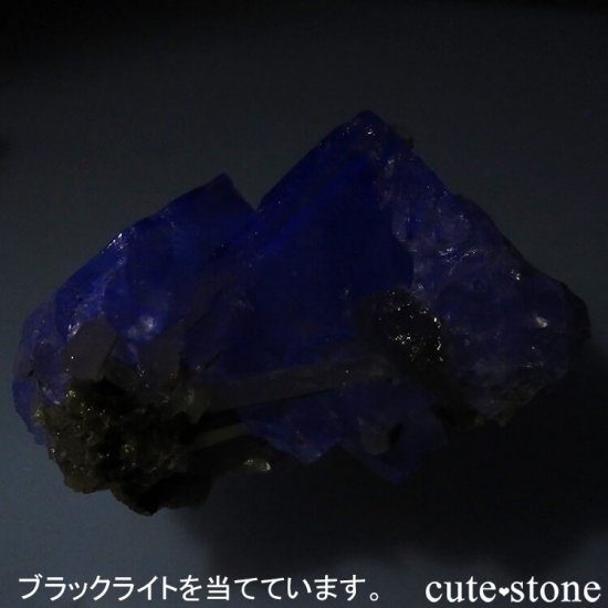 䥪󥷥 ֥롼ե饤ȡ 124gμ̿6 cute stone