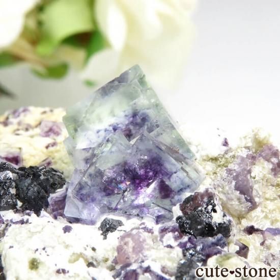 ヤオガンシャン産　ブルーグリーン母岩付きガーデンフローライト ヤオガンシャン産 ブルーグリーンフローライト＆アルセノパイライト