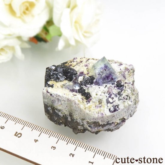 䥪󥷥 ֥롼꡼ե饤ȡ륻Υѥ饤 117gμ̿5 cute stone
