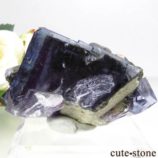 䥪󥷥 ֥롼ե饤Ȥη뾽ʸС 101gμ̿1 cute stone
