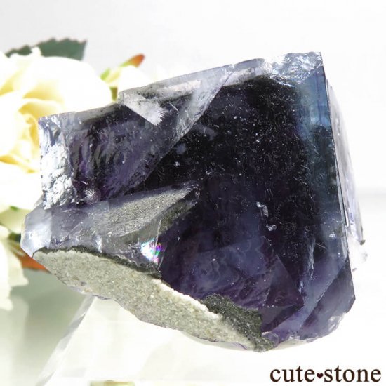 䥪󥷥 ֥롼ե饤Ȥη뾽ʸС 101gμ̿2 cute stone