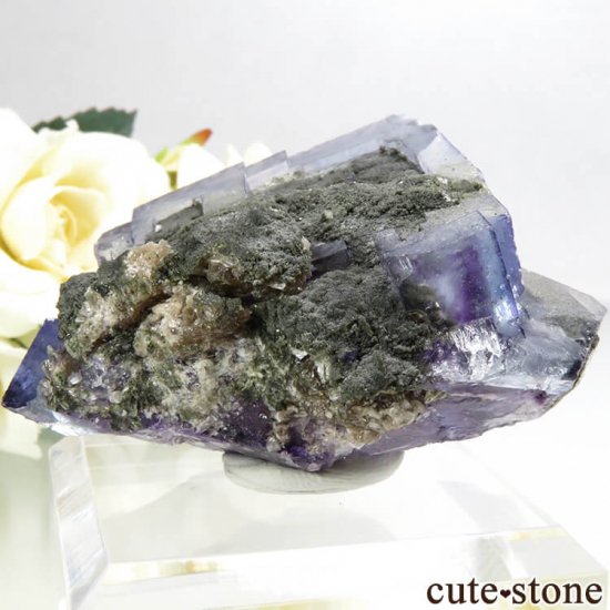 䥪󥷥 ֥롼ե饤Ȥη뾽ʸС 101gμ̿3 cute stone