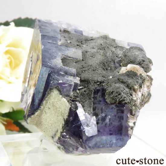 䥪󥷥 ֥롼ե饤Ȥη뾽ʸС 101gμ̿4 cute stone