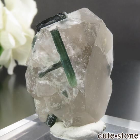 ե˥ Dara-i-Pech pegmatite field ꡼ȥޥ 19.6gμ̿0 cute stone