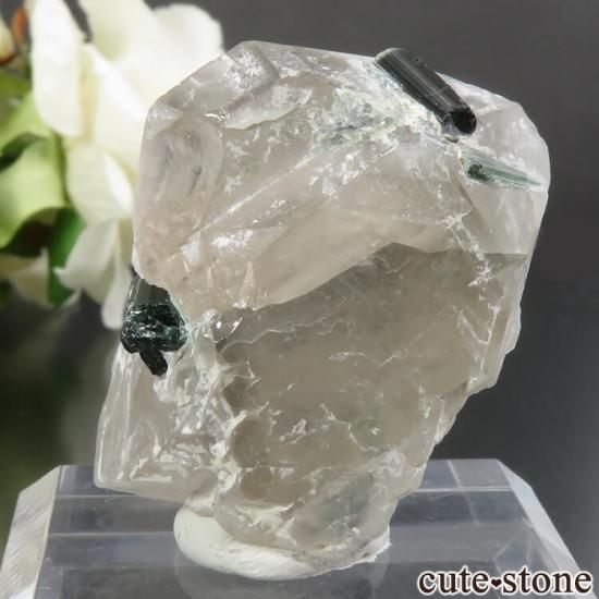 ե˥ Dara-i-Pech pegmatite field ꡼ȥޥ 19.6gμ̿1 cute stone