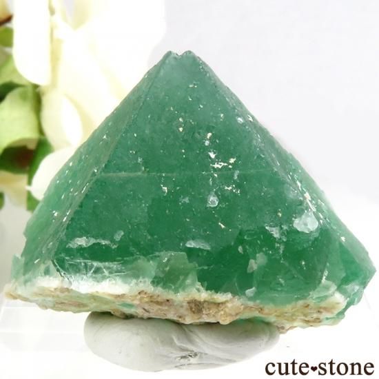 եꥫ ȬΥ꡼ե饤Ȥθ 48gμ̿1 cute stone