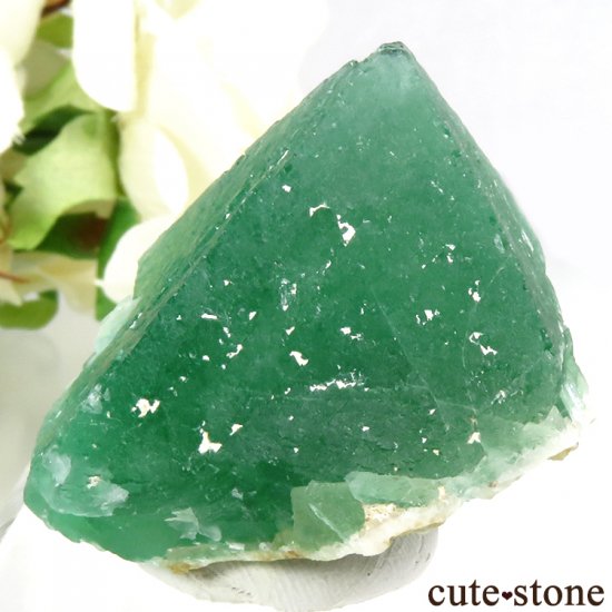 եꥫ ȬΥ꡼ե饤Ȥθ 48gμ̿2 cute stone