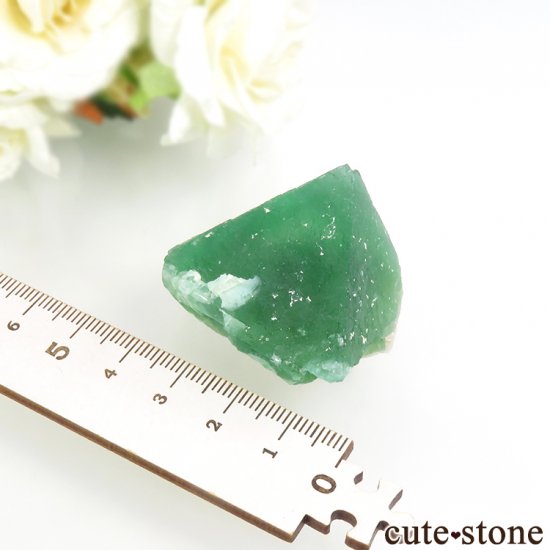 եꥫ ȬΥ꡼ե饤Ȥθ 48gμ̿5 cute stone