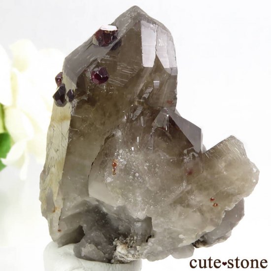  ʡʻ ⡼ġڥƥ󥬡ͥåȤθ 64gμ̿2 cute stone
