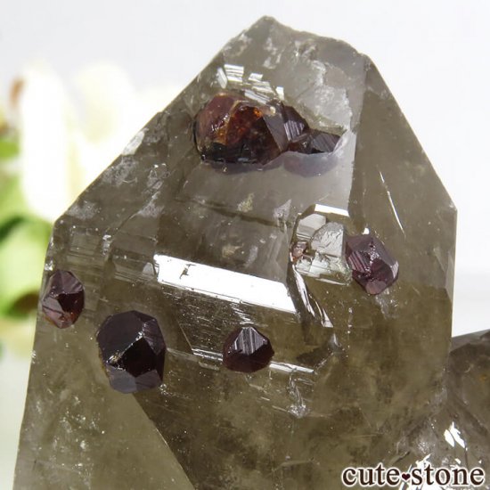中国 福建省産 スモーキークォーツ＆スペサルティンガーネットの原石 64gの写真3 cute stone