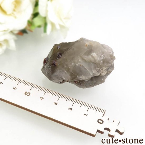  ʡʻ ⡼ġڥƥ󥬡ͥåȤθ 64gμ̿4 cute stone