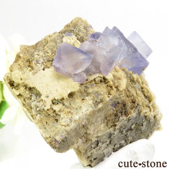  󥴥뻺 ѡץե饤Ȥդ뾽ʸС65gμ̿0 cute stone