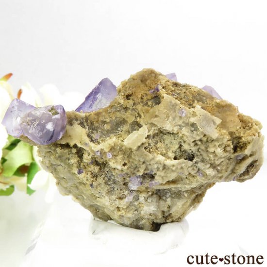  󥴥뻺 ѡץե饤Ȥդ뾽ʸС65gμ̿1 cute stone
