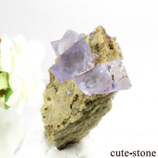  󥴥뻺 ѡץե饤Ȥդ뾽ʸС65gμ̿2 cute stone