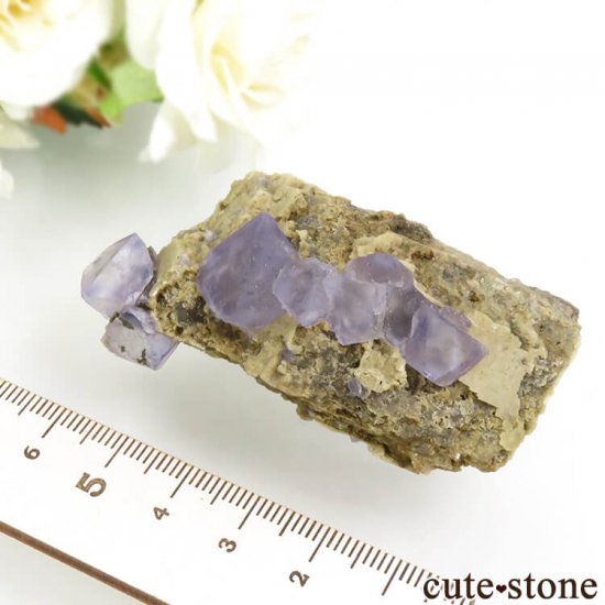  󥴥뻺 ѡץե饤Ȥդ뾽ʸС65gμ̿5 cute stone