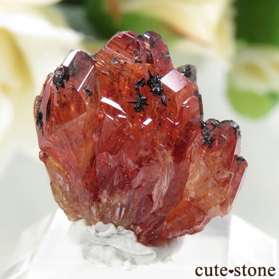 եꥫ N'Chwaning I Mine ɥȤη뾽ʸС2.7gμ̿1 cute stone