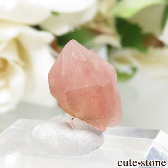 ե ȥ٥꡼(徽)θ 1.3gμ̿0 cute stone