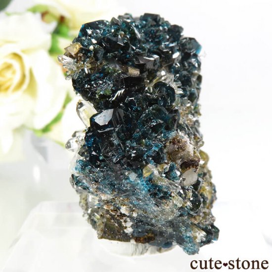 ʥ 桼 ԥåɥ꡼ 饺饤(ŷ)Ĥդ뾽ʸС 72.8gμ̿0 cute stone