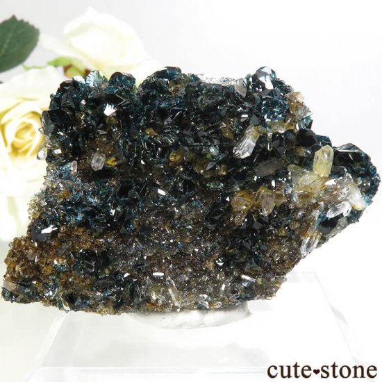 ʥ 桼 ԥåɥ꡼ 饺饤(ŷ)Ĥդ뾽ʸС 72.8gμ̿1 cute stone