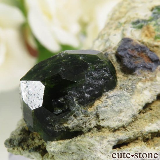  Belqeys MountainΥǥޥȥɥͥåȤդ 32gμ̿3 cute stone