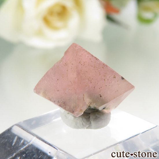  󥴥뻺Υԥ󥯥ե饤Ȥη뾽ʸС1gμ̿0 cute stone