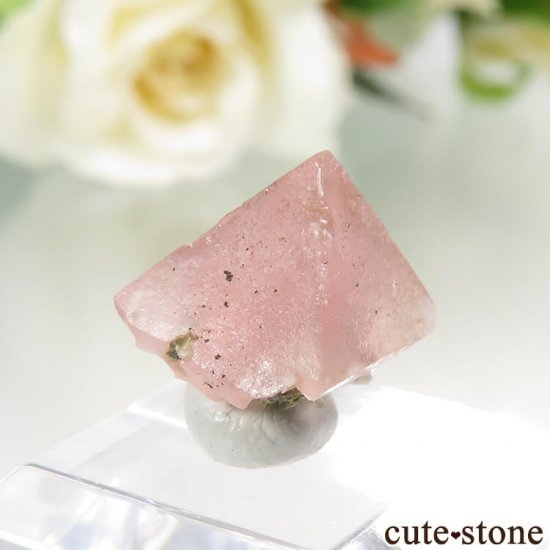  󥴥뻺Υԥ󥯥ե饤Ȥη뾽ʸС1gμ̿1 cute stone