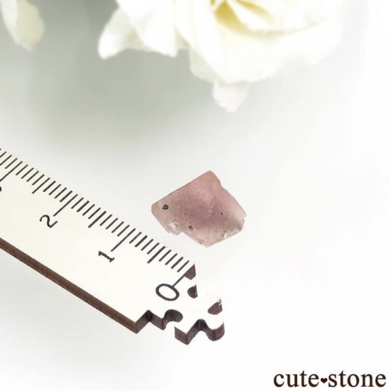  󥴥뻺Υԥ󥯥ե饤Ȥη뾽ʸС1gμ̿2 cute stone