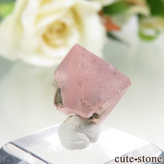  󥴥뻺Υԥ󥯥ե饤Ȥη뾽ʸС1gμ̿0 cute stone