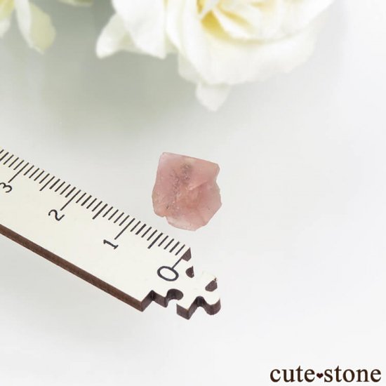  󥴥뻺Υԥ󥯥ե饤Ȥη뾽ʸС1.3gμ̿2 cute stone