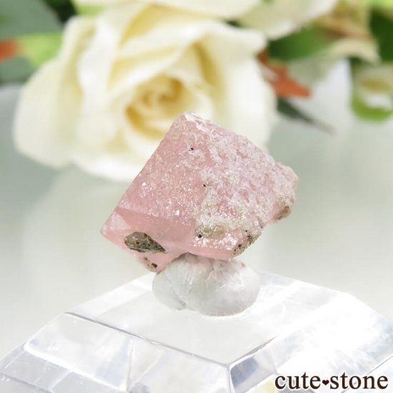  󥴥뻺Υԥ󥯥ե饤Ȥη뾽ʸС1.3gμ̿1 cute stone
