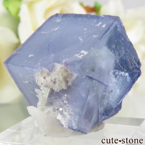 䥪󥷥 ֥롼ե饤 17.1gμ̿0 cute stone