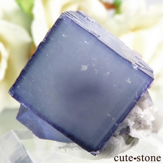 䥪󥷥 ֥롼ե饤 17.1gμ̿2 cute stone