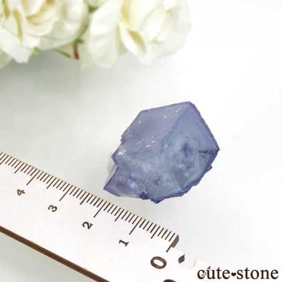 䥪󥷥 ֥롼ե饤 17.1gμ̿4 cute stone