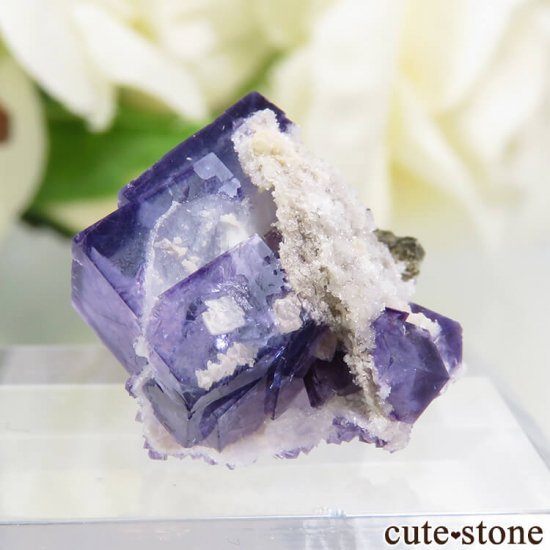 䥪󥷥 ֥롼ե饤 4.4gμ̿2 cute stone