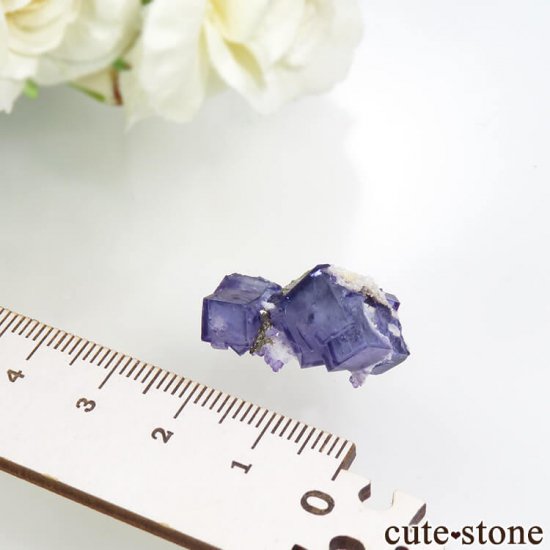 䥪󥷥 ֥롼ե饤 4.4gμ̿3 cute stone