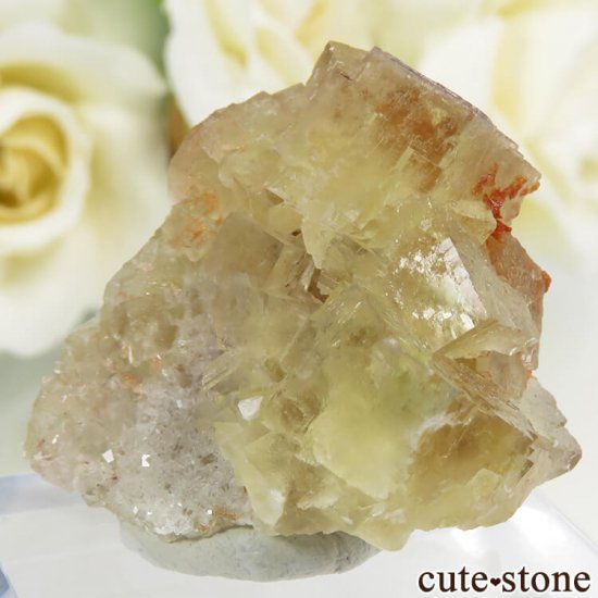 ɥ Frohnau ե饤ȡ 25.5gμ̿0 cute stone
