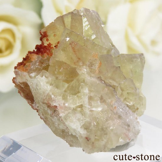 ɥ Frohnau ե饤ȡ 25.5gμ̿1 cute stone