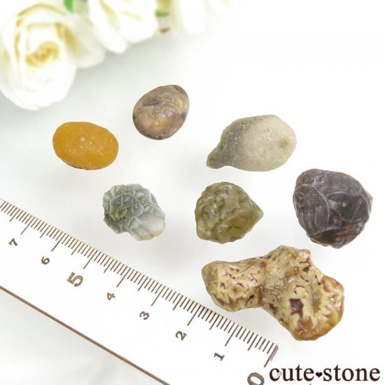  󥴥뼫軺 ӥȡʥ饷ˤΥå No.1μ̿0 cute stone