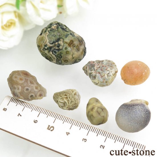  󥴥뼫軺 ӥȡʥ饷ˤΥå No.2μ̿0 cute stone