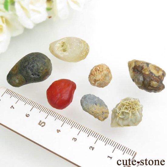  󥴥뼫軺 ӥȡʥ饷ˤΥå No.3μ̿0 cute stone