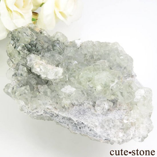   󽣻 ꡼ե饤Ȥդ뾽 171gμ̿0 cute stone