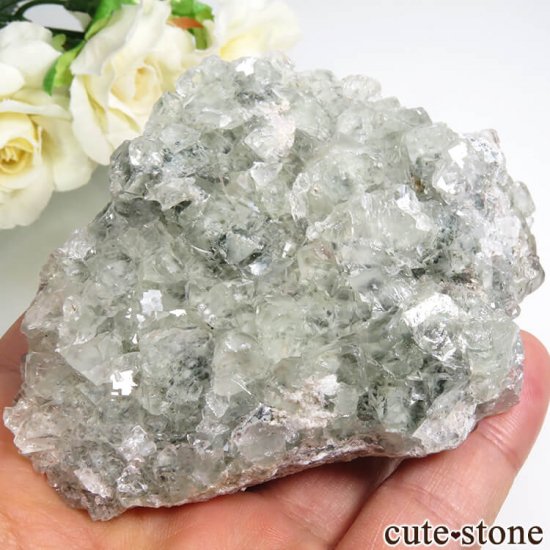   󽣻 ꡼ե饤Ȥդ뾽 171gμ̿1 cute stone