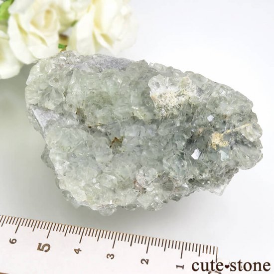   󽣻 ꡼ե饤Ȥդ뾽 171gμ̿3 cute stone